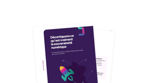 Vignette de l'e-book : Souveraineté numérique